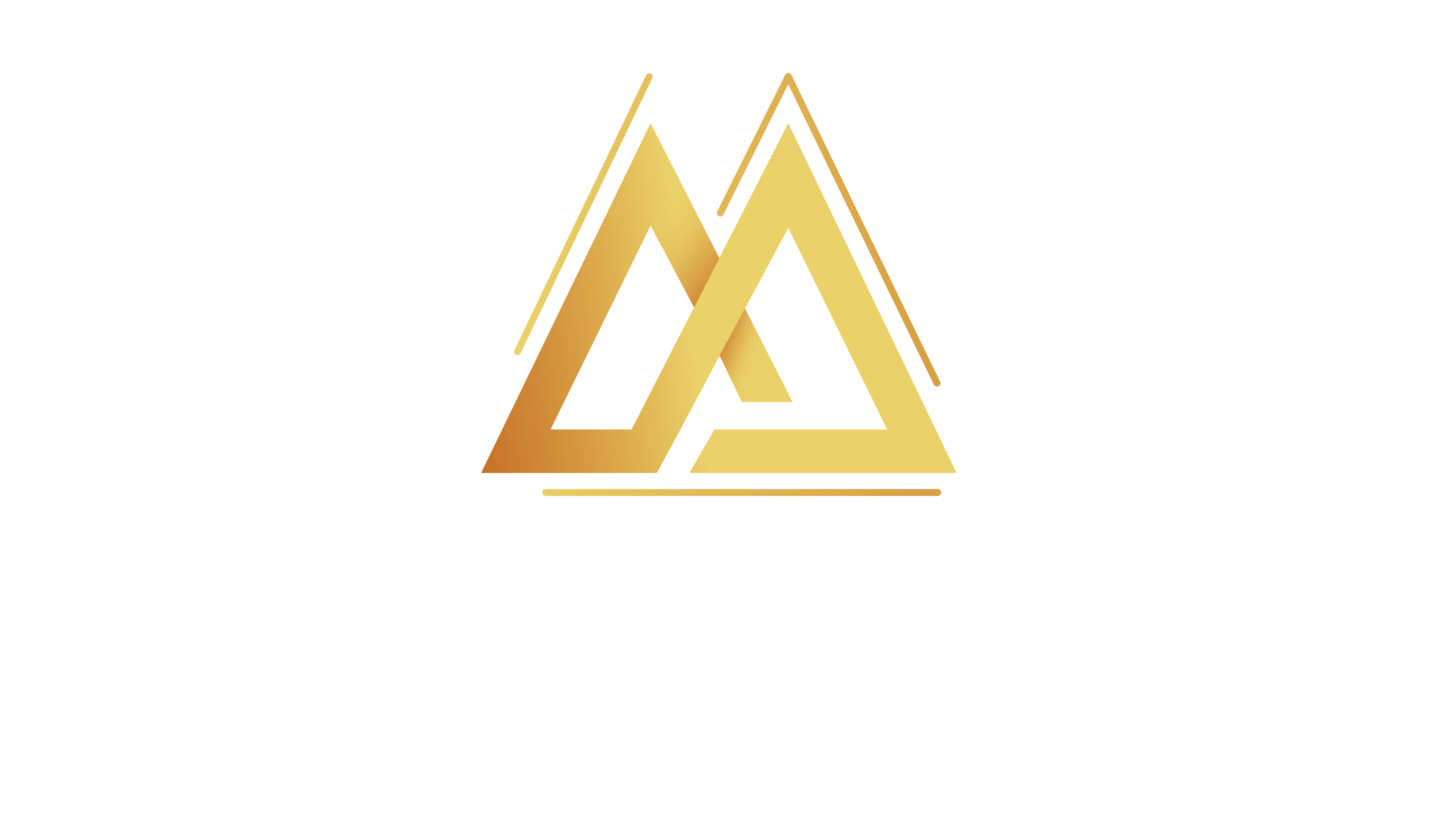 Madsen Akademie